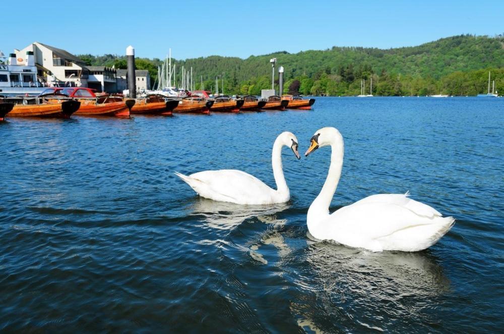 1 West End Boutique Apartment Bowness-on-Windermere Exteriér fotografie